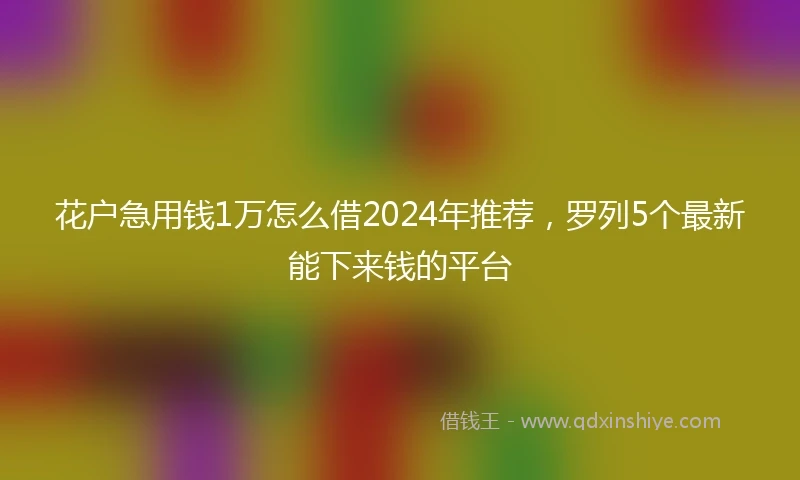 花户急用钱1万怎么借2024年推荐，罗列5个最新能下来钱的平台