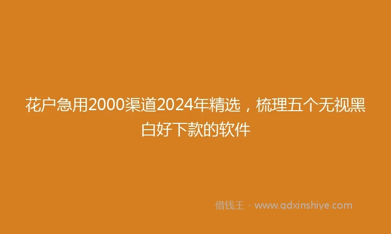 花户急用2000渠道2024年精选，梳理五个无视黑白好下款的软件