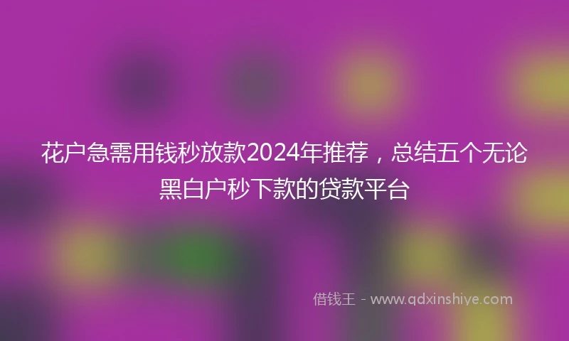 花户急需用钱秒放款2024年推荐，总结五个无论黑白户秒下款的贷款平台