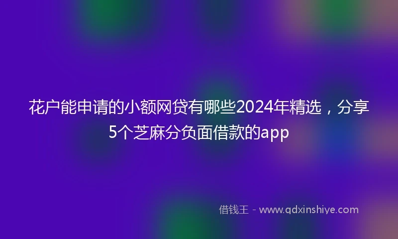 花户能申请的小额网贷有哪些2024年精选，分享5个芝麻分负面借款的app