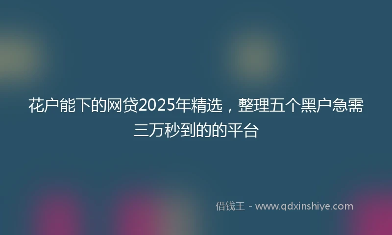 花户能下的网贷2025年精选，整理五个黑户急需三万秒到的的平台