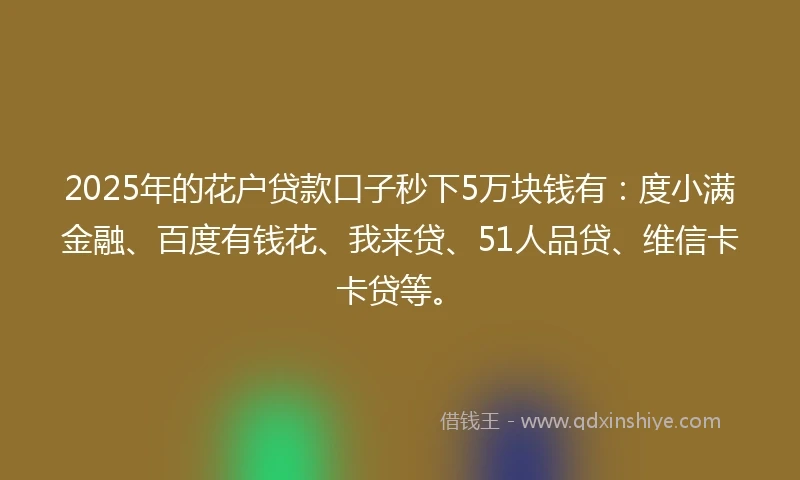 2025年的花户贷款口子秒下5万块钱有：度小满金融、百度有钱花、我来贷、51人品贷、维信卡卡贷等。