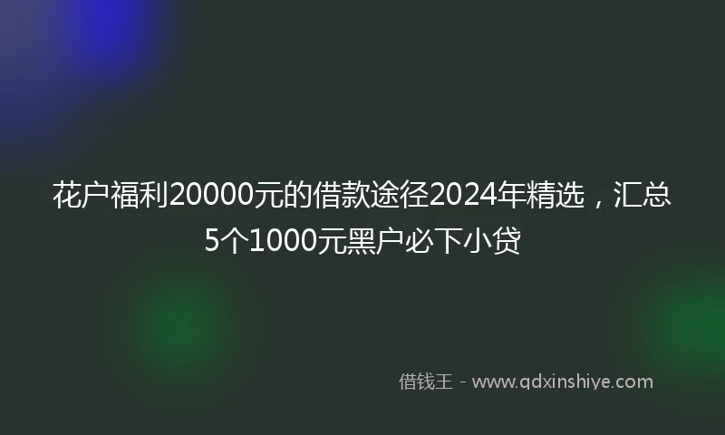花户福利20000元的借款途径2024年精选，汇总5个1000元黑户必下小贷