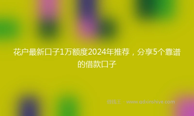 花户最新口子1万额度2024年推荐，分享5个靠谱的借款口子