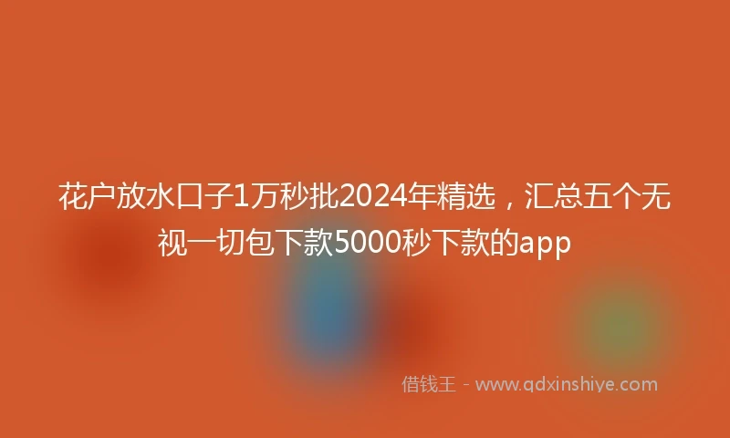 花户放水口子1万秒批2024年精选，汇总五个无视一切包下款5000秒下款的app