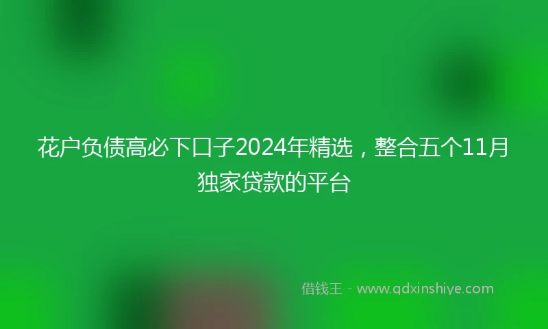 花户负债高必下口子2024年精选，整合五个11月独家贷款的平台