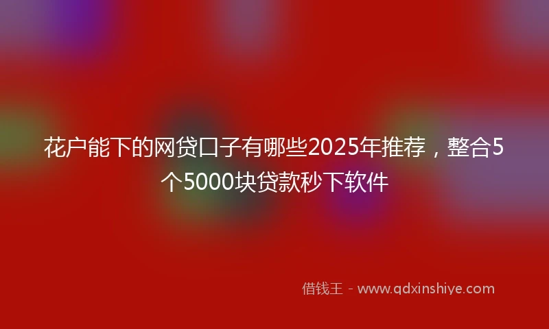花户能下的网贷口子有哪些2025年推荐，整合5个5000块贷款秒下软件