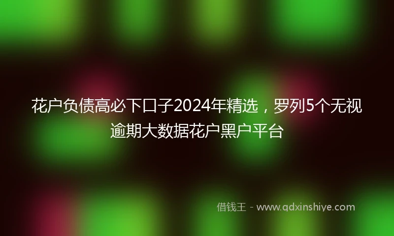 花户负债高必下口子2024年精选，罗列5个无视逾期大数据花户黑户平台