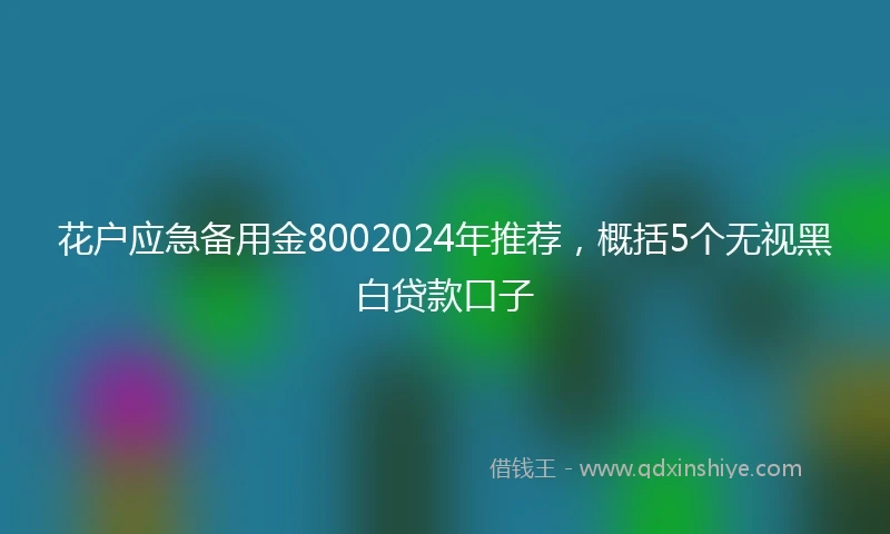 花户应急备用金8002024年推荐，概括5个无视黑白贷款口子