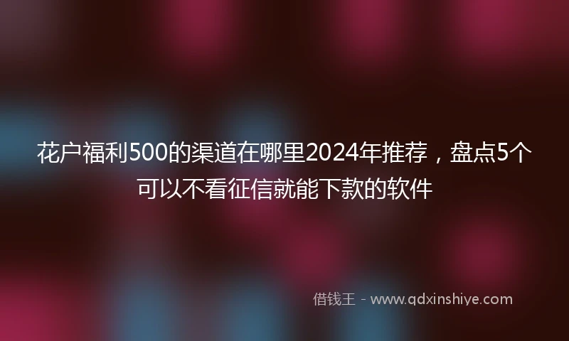 花户福利500的渠道在哪里2024年推荐，盘点5个可以不看征信就能下款的软件