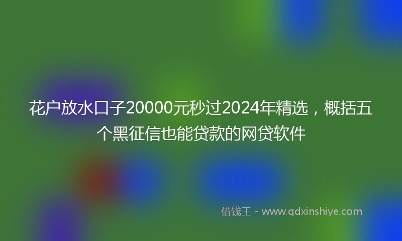 花户放水口子20000元秒过2024年精选，概括五个黑征信也能贷款的网贷软件