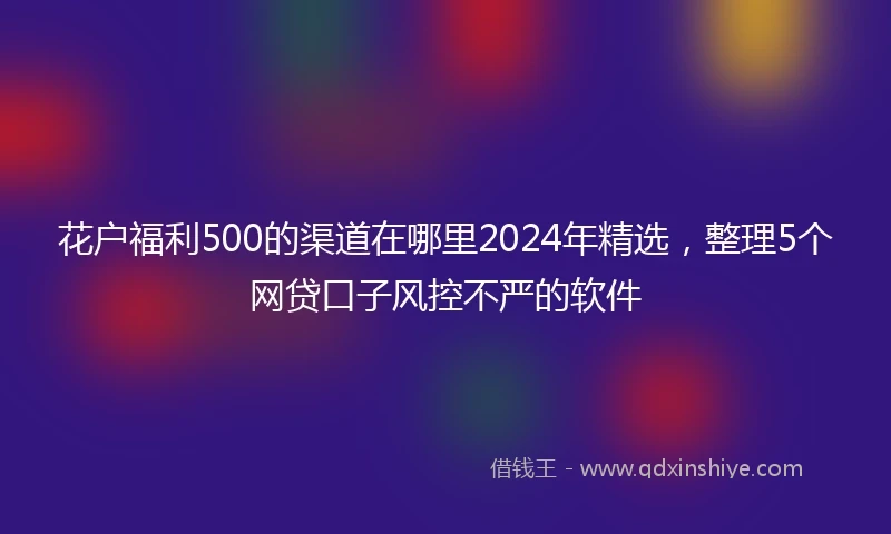 花户福利500的渠道在哪里2024年精选，整理5个网贷口子风控不严的软件