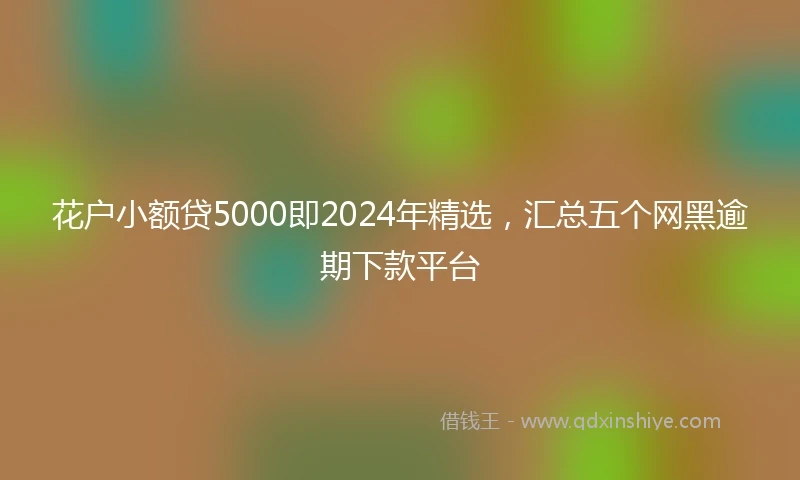 花户小额贷5000即2024年精选，汇总五个网黑逾期下款平台