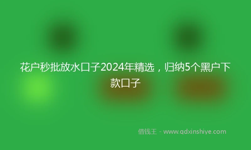 花户秒批放水口子2024年精选，归纳5个黑户下款口子