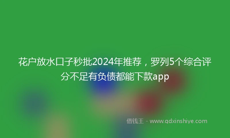 花户放水口子秒批2024年推荐，罗列5个综合评分不足有负债都能下款app