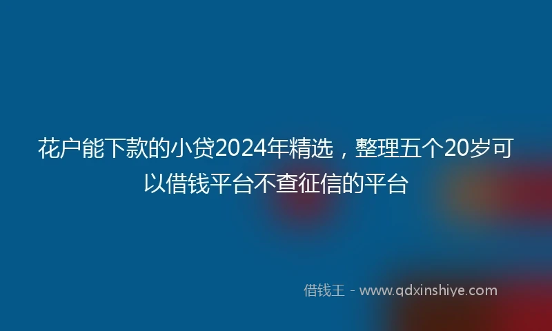 花户能下款的小贷2024年精选，整理五个20岁可以借钱平台不查征信的平台