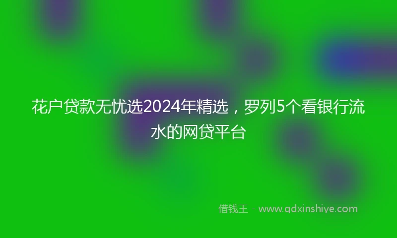 花户贷款无忧选2024年精选，罗列5个看银行流水的网贷平台