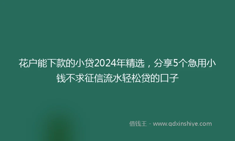花户能下款的小贷2024年精选，分享5个急用小钱不求征信流水轻松贷的口子