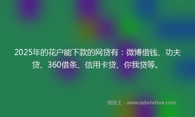 2025年的花户能下款的网贷有：微博借钱、功夫贷、360借条、信用卡贷、你我贷等。