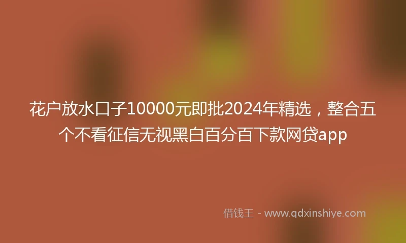 花户放水口子10000元即批2024年精选，整合五个不看征信无视黑白百分百下款网贷app