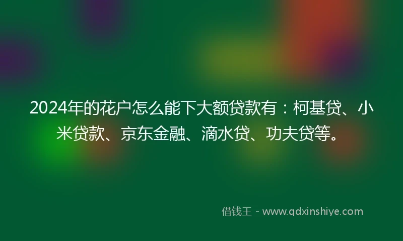 2024年的花户怎么能下大额贷款有：柯基贷、小米贷款、京东金融、滴水贷、功夫贷等。