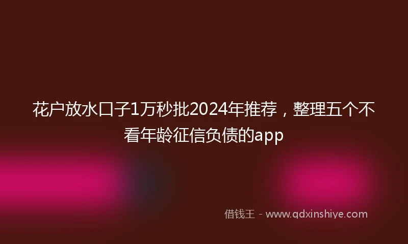 花户放水口子1万秒批2024年推荐，整理五个不看年龄征信负债的app