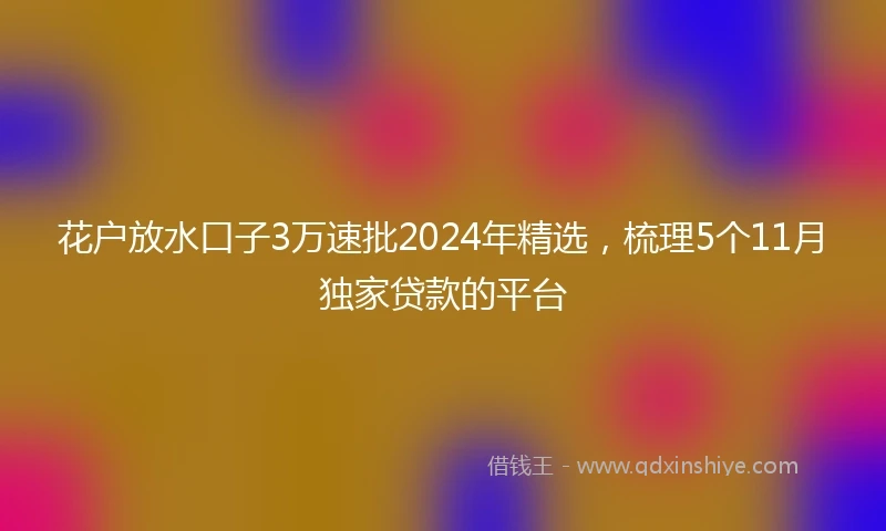 花户放水口子3万速批2024年精选，梳理5个11月独家贷款的平台
