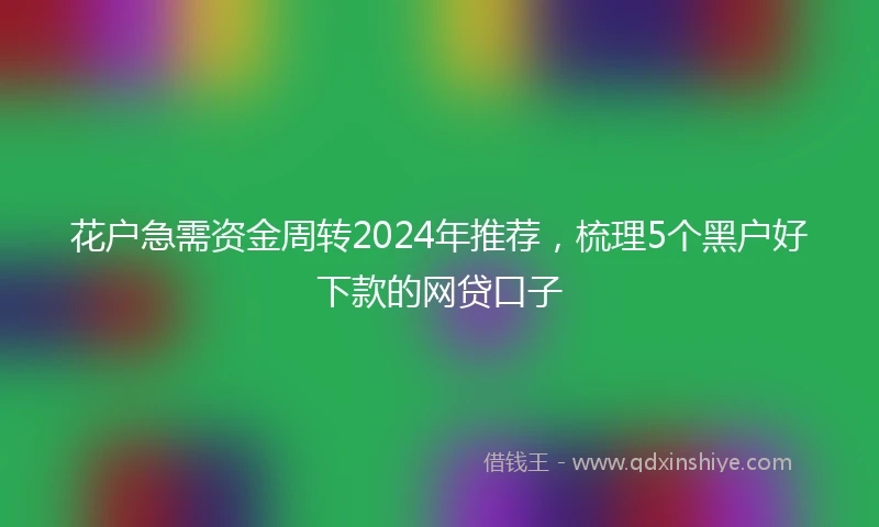 花户急需资金周转2024年推荐，梳理5个黑户好下款的网贷口子
