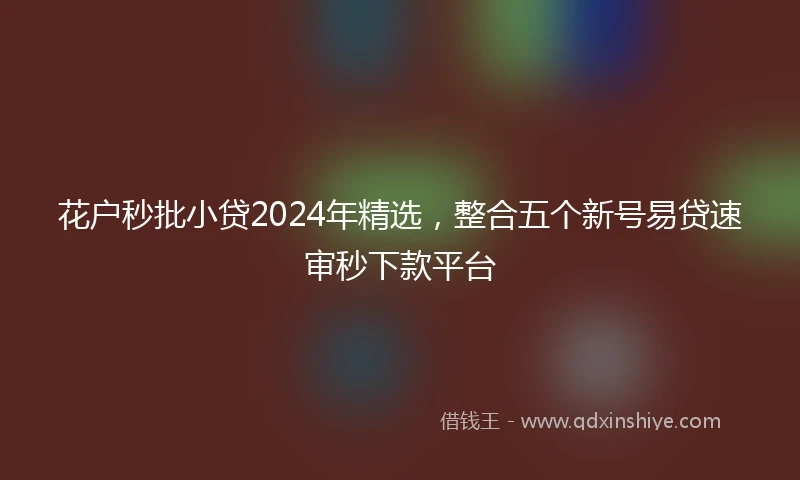 花户秒批小贷2024年精选，整合五个新号易贷速审秒下款平台