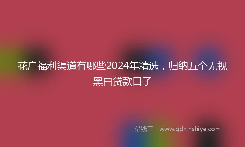 花户福利渠道有哪些2024年精选，归纳五个无视黑白贷款口子