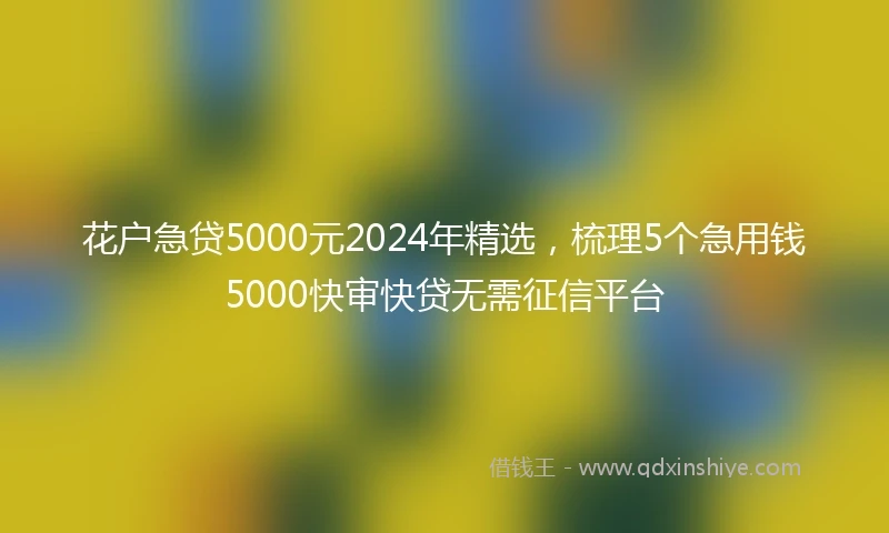 花户急贷5000元2024年精选，梳理5个急用钱5000快审快贷无需征信平台