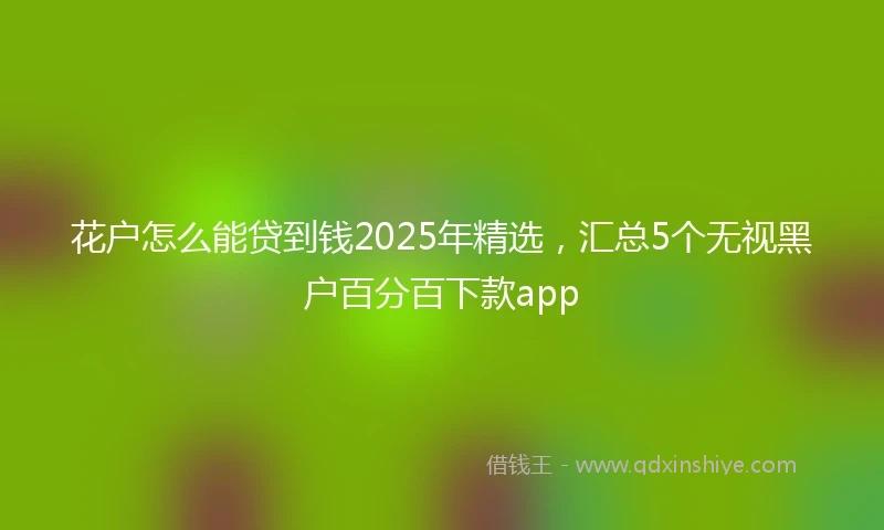 花户怎么能贷到钱2025年精选，汇总5个无视黑户百分百下款app