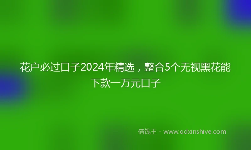 花户必过口子2024年精选，整合5个无视黑花能下款一万元口子