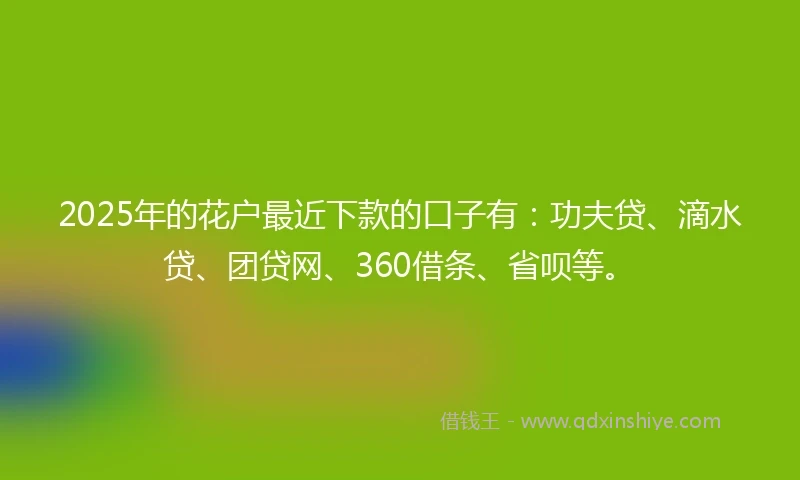 2025年的花户最近下款的口子有：功夫贷、滴水贷、团贷网、360借条、省呗等。