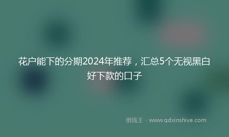花户能下的分期2024年推荐，汇总5个无视黑白好下款的口子
