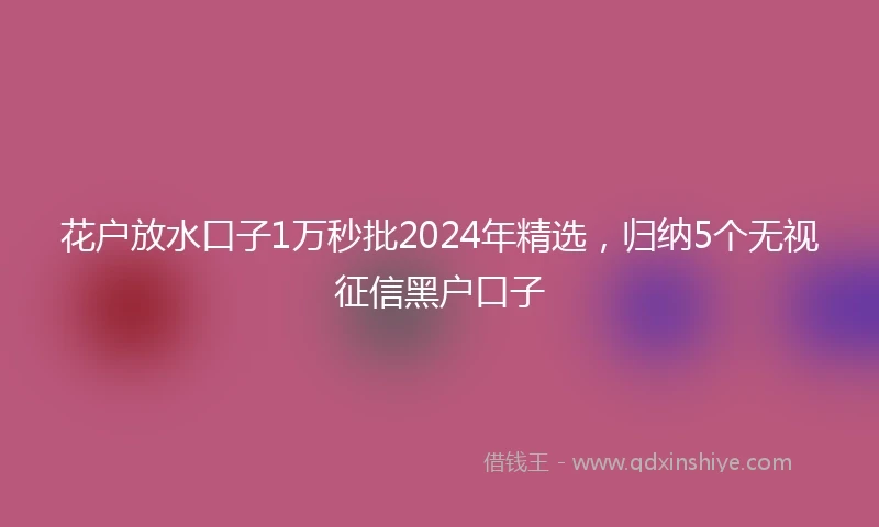 花户放水口子1万秒批2024年精选，归纳5个无视征信黑户口子