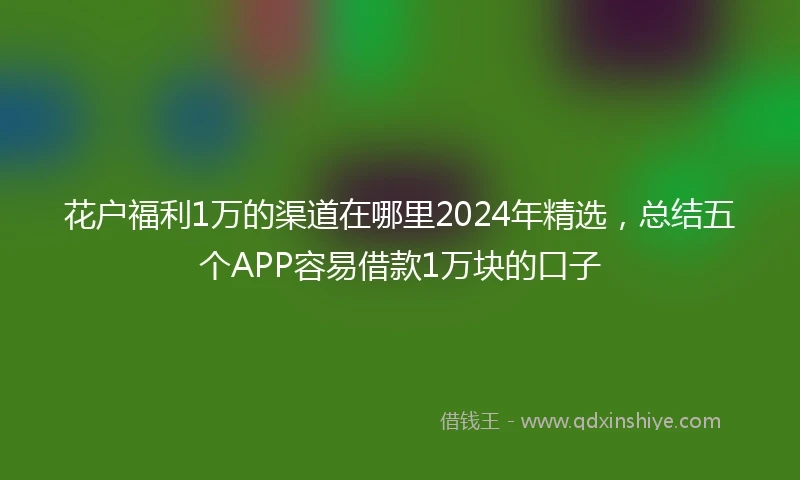 花户福利1万的渠道在哪里2024年精选，总结五个APP容易借款1万块的口子