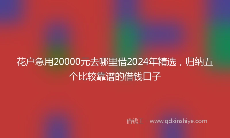 花户急用20000元去哪里借2024年精选，归纳五个比较靠谱的借钱口子