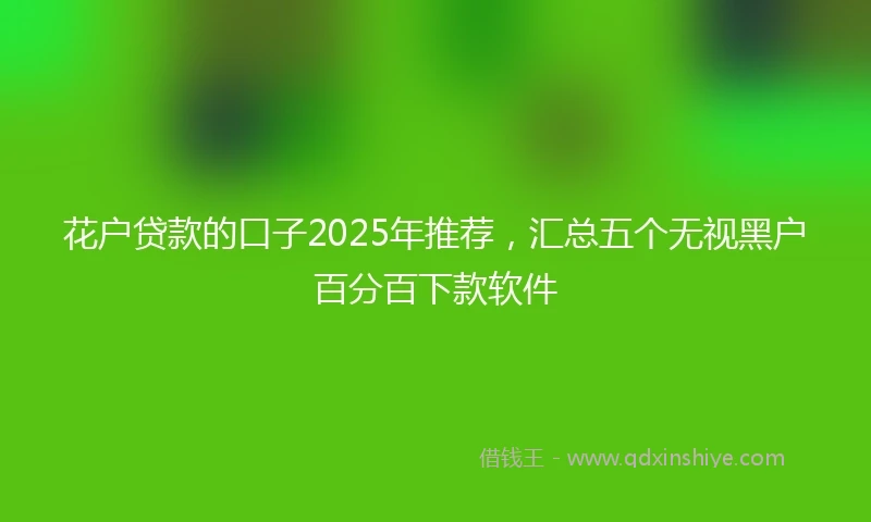 花户贷款的口子2025年推荐，汇总五个无视黑户百分百下款软件