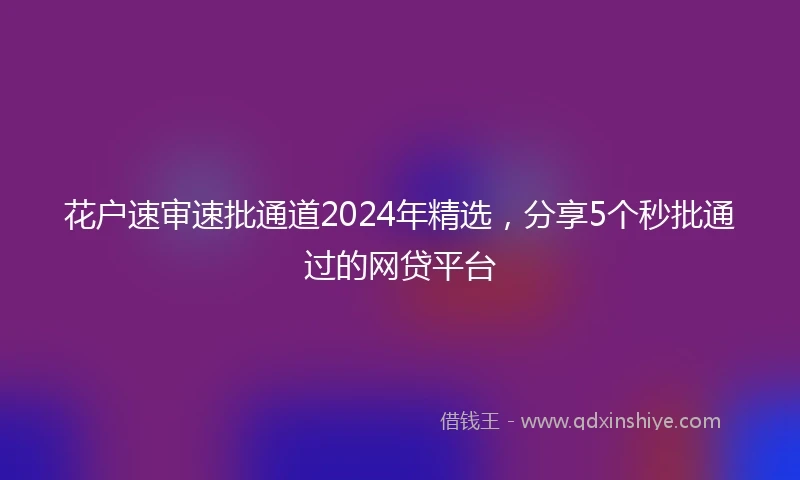 花户速审速批通道2024年精选，分享5个秒批通过的网贷平台