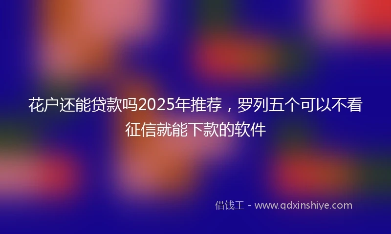 花户还能贷款吗2025年推荐，罗列五个可以不看征信就能下款的软件