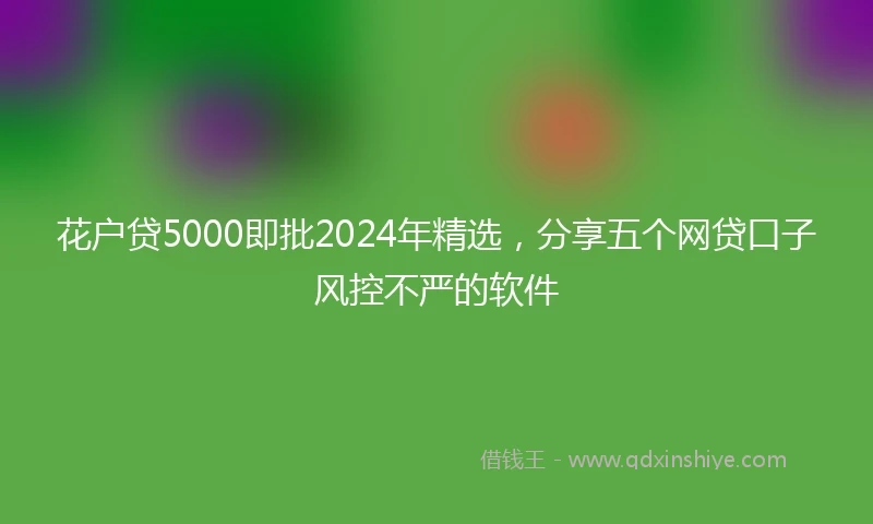 花户贷5000即批2024年精选，分享五个网贷口子风控不严的软件
