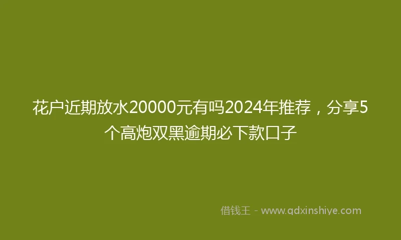 花户近期放水20000元有吗2024年推荐，分享5个高炮双黑逾期必下款口子