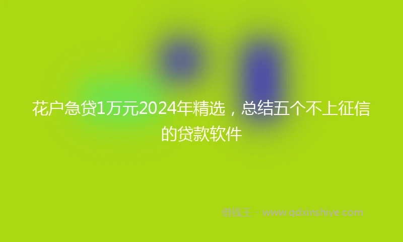 花户急贷1万元2024年精选，总结五个不上征信的贷款软件