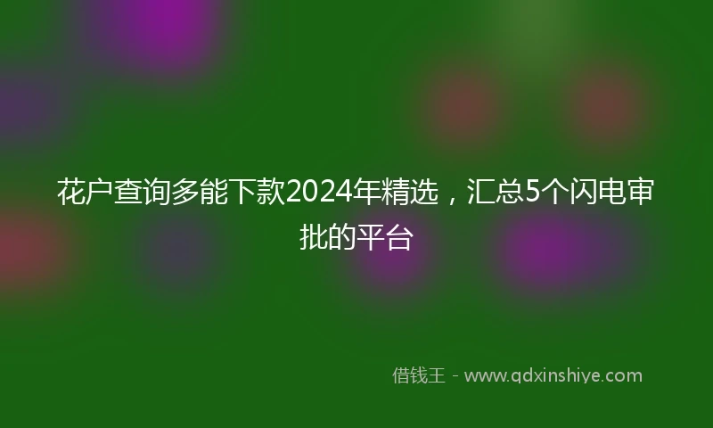 花户查询多能下款2024年精选，汇总5个闪电审批的平台