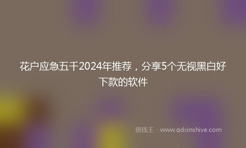 花户应急五千2024年推荐，分享5个无视黑白好下款的软件