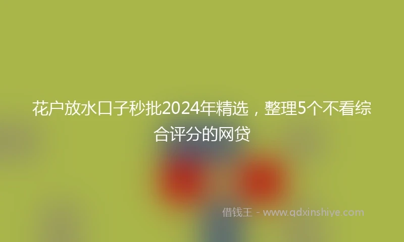 花户放水口子秒批2024年精选，整理5个不看综合评分的网贷