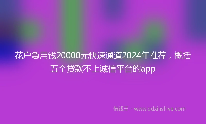 花户急用钱20000元快速通道2024年推荐，概括五个贷款不上诚信平台的app