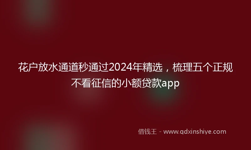 花户放水通道秒通过2024年精选，梳理五个正规不看征信的小额贷款app