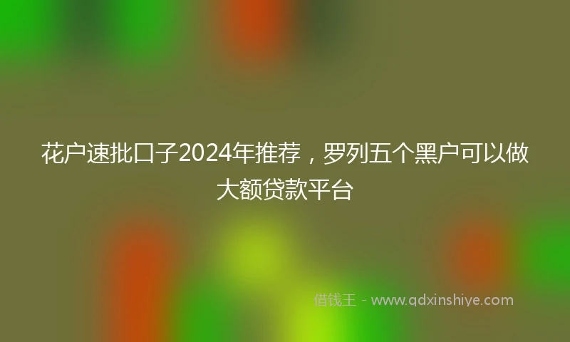 花户速批口子2024年推荐，罗列五个黑户可以做大额贷款平台